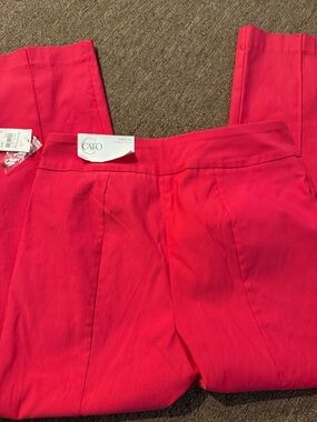 Cato Women's Hot Pink Mid-Rise Trousers